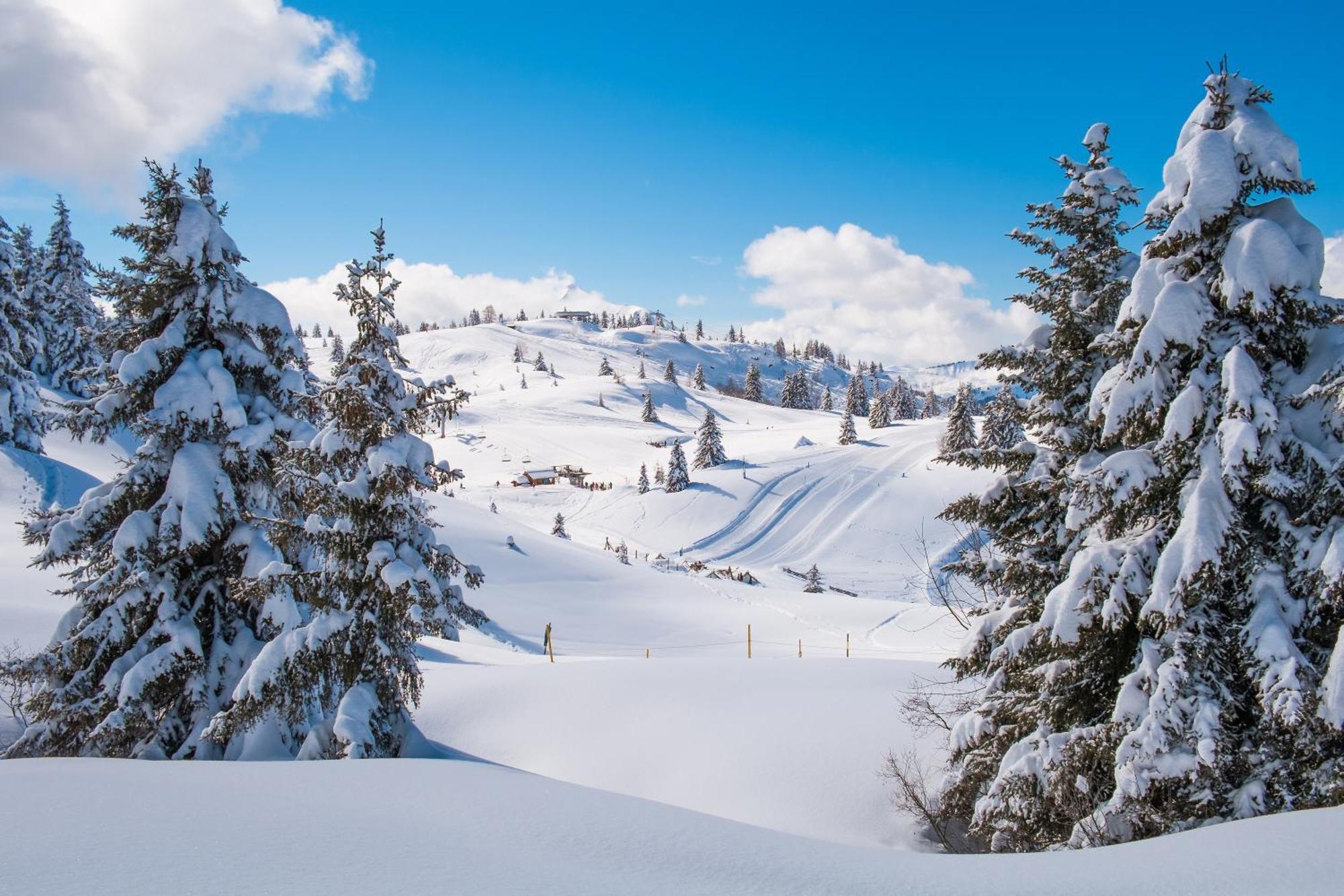 Chalet Anelie Happy Rentals Les Houches Exterior foto